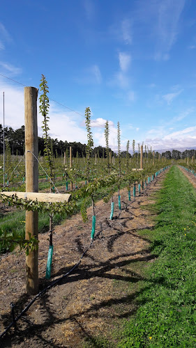 Opinii despre Suncrest Orchard în Cromwell - Hospitality and gastronomy