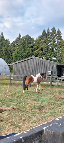 Comentarii opinii despre Karapiro Cafe & bakery