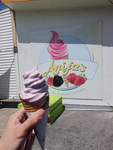Anijas Fresh Fruit Ice Cream - Auckland