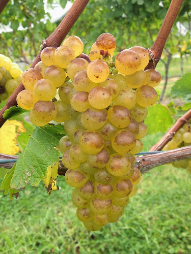 381 King Road, Mangawhai 0573, New Zealand