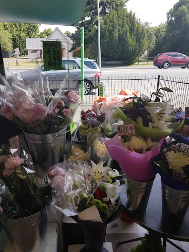 28 Yaldhurst Road, Riccarton, Christchurch 8041, New Zealand