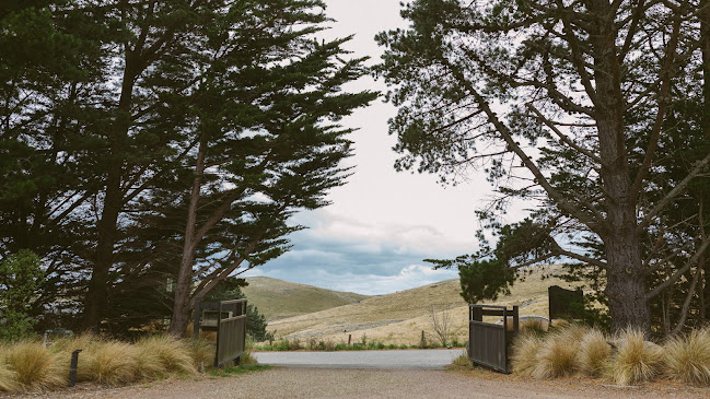 Opinii despre Tussock Hill Vineyard and Cellar Door Restaurant în Christchurch - Hospitality and gastronomy