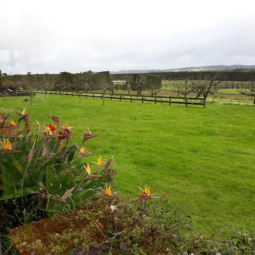 Opinii despre Blossoms Cafe în Riverhead - Hospitality and gastronomy