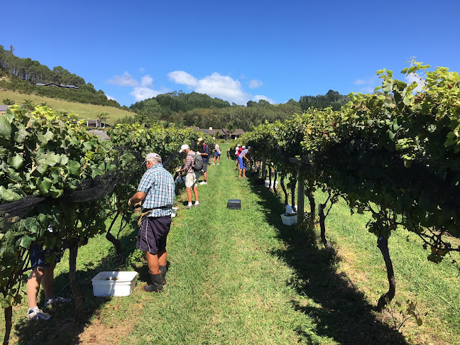 Mercury Bay Estate - Winery & Restaurant Open Times