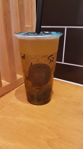 Hulucat - Hospitality and gastronomy