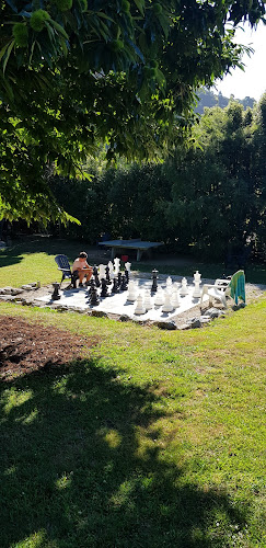 Comentarii opinii despre Palmville Coffee Co