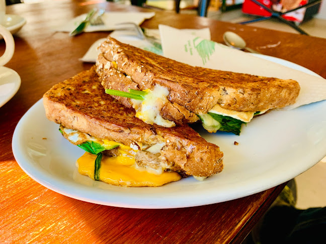 Native Tree Cafe - Hospitality and gastronomy