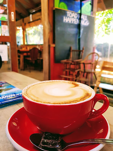 Toad Hall - Hospitality and gastronomy