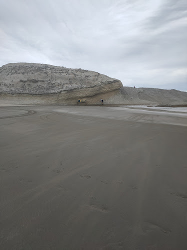 Dining Castlepoint - Hospitality and gastronomy