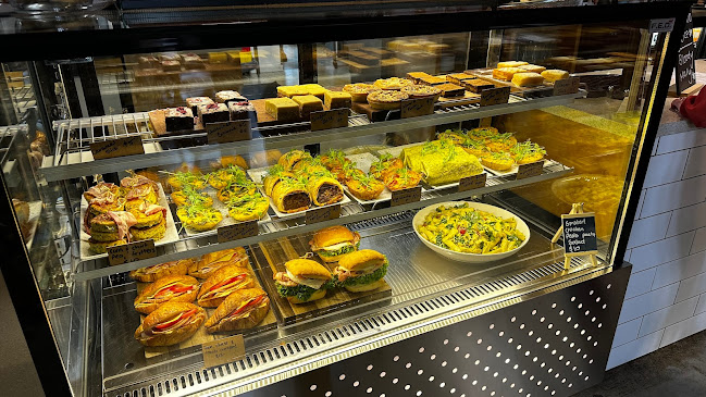 Comentarii opinii despre The Offering