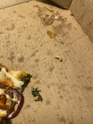 9/11 Tauhinu Road, Miramar, Wellington 6022, New Zealand