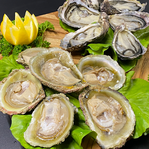 Oppies Restaurant & Takeaway - Rotorua