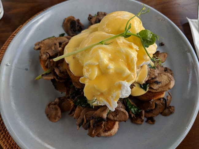 Puke Ariki Level One/65 Saint Aubyn Street, Central, New Plymouth 4310, New Zealand