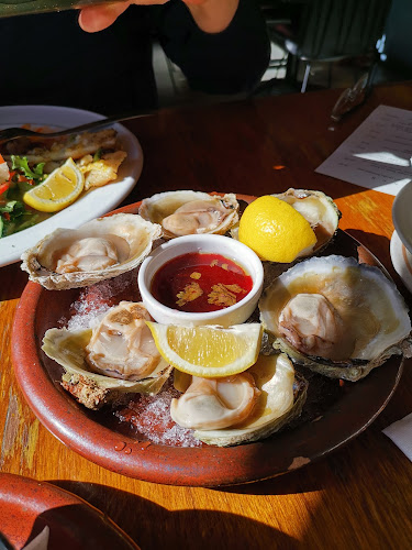 2 Birch Street, Central Dunedin, Dunedin 9016, New Zealand