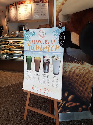 48 Rotherham Street, Riccarton, Christchurch 8041, New Zealand