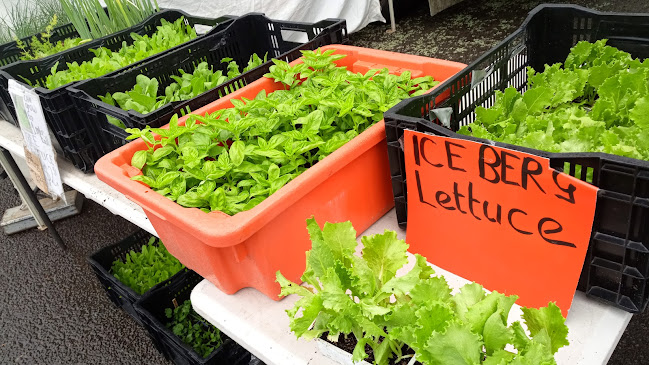 Whakatane Sunday Market - Whakatāne