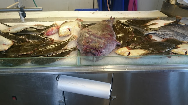 Raglan Fish - Raglan