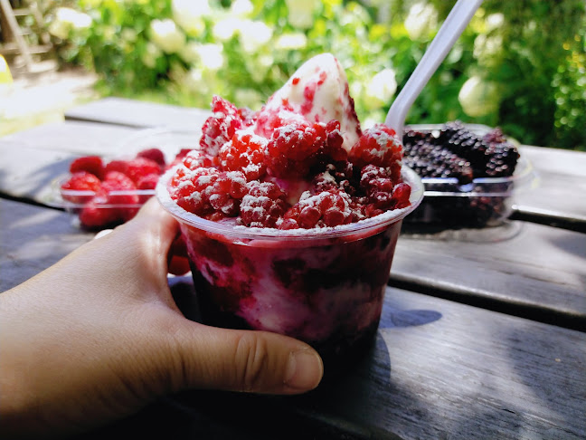 The Berry Shop & Cafe - Christchurch