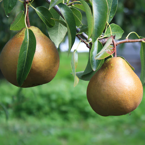 150 White Road, Hope 7081, New Zealand