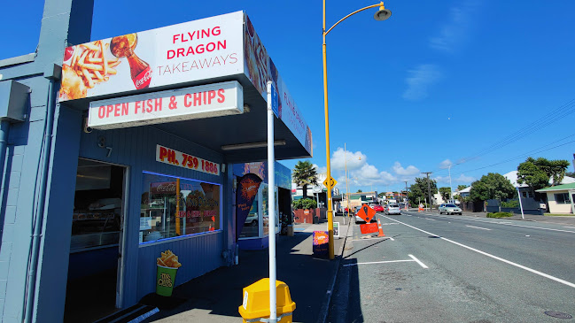 Flying Dragon Takeaways - New Plymouth