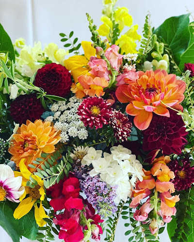 Full Of Posies - Hospitality and gastronomy