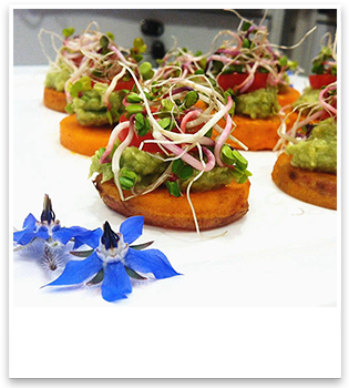 95 Westminster Street Corner of Cranford Street &, Westminster Street, St Albans, Christchurch 8014, New Zealand