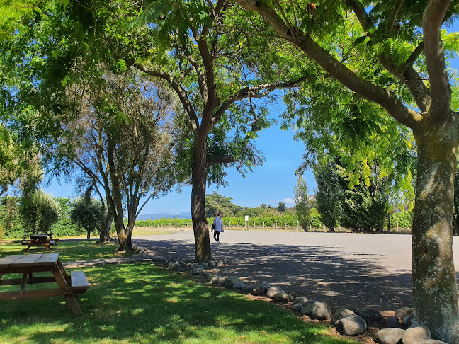 Reviews of Moa Tap Room & Food Truck in Blenheim - Hospitality and gastronomy