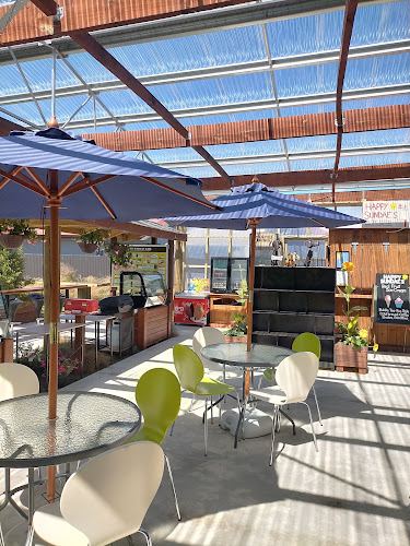 Comentarii opinii despre ZOFS