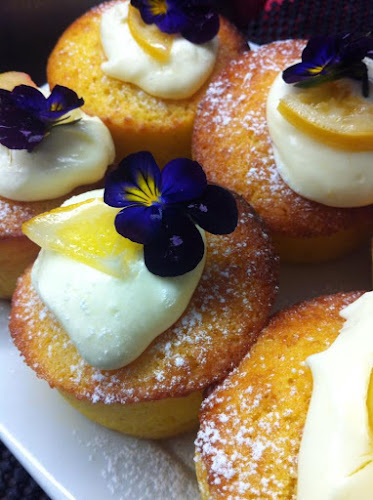 329 Princes Street, Central Dunedin, Dunedin 9016, New Zealand