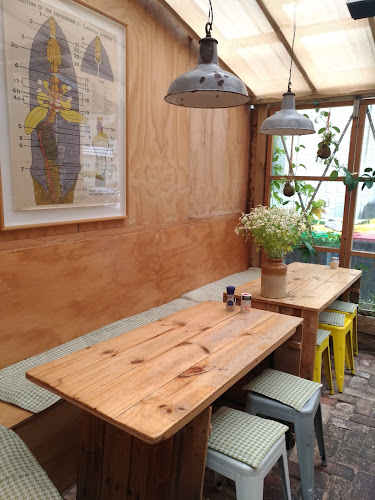 Mimosa - Hospitality and gastronomy