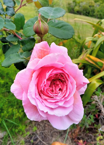 103 Trig Hill Road, Onetangi, Waiheke Island 1081, New Zealand