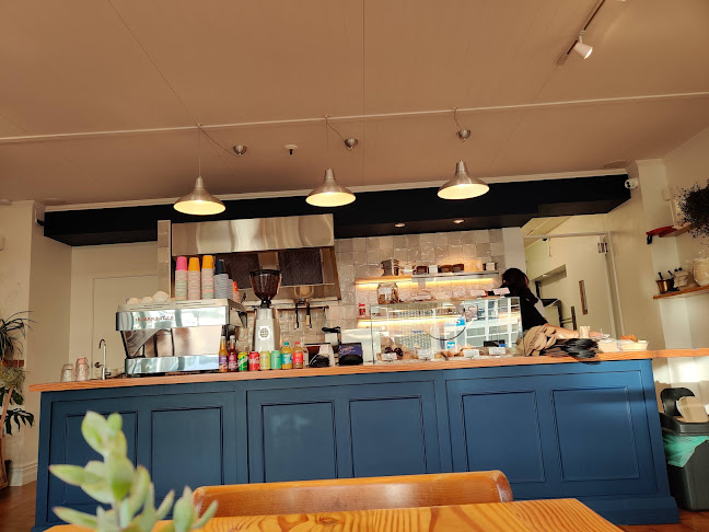 Carmel - Israeli Street Food - Auckland