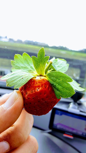 Comentarii opinii despre Veges Direct Mairehau Road