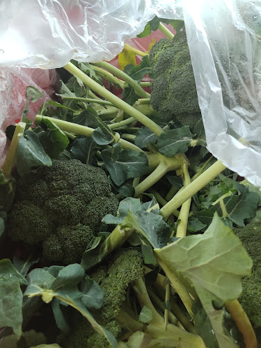 Sabai Sabai Organic Thai Kitchen Open Times