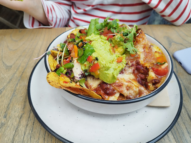 Comentarii opinii despre Toad Hall