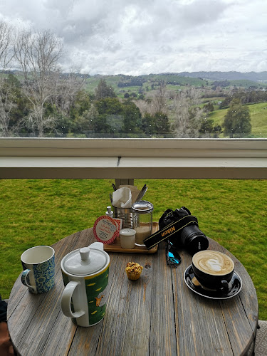 Caffe Cozy - Hospitality and gastronomy