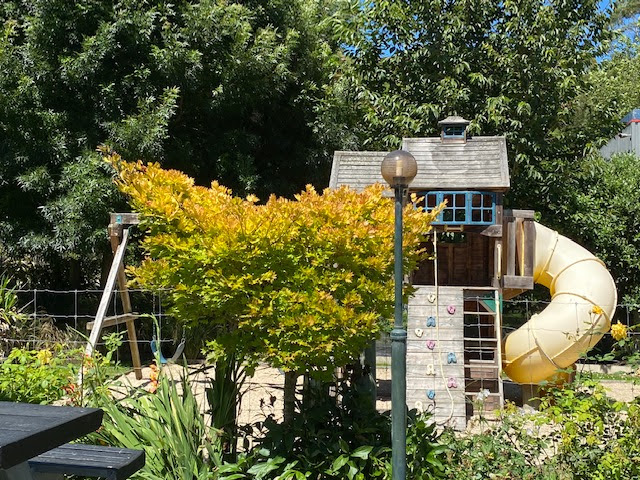 Maheno Country Tavern - Hospitality and gastronomy