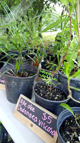 Comentarii opinii despre Whakatane Sunday Market