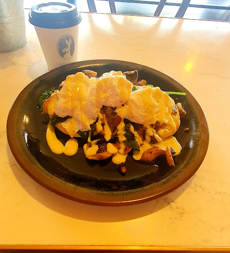 Jack Rabbit Café & Bar - Hospitality and gastronomy