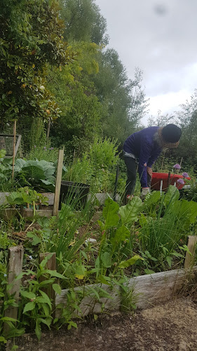 Angel Louise Cafe Open Times