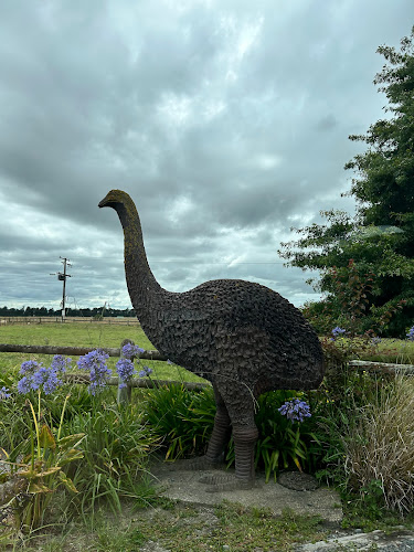 The Woolshed Cafe - Hospitality and gastronomy