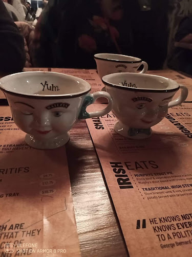 Opinii despre The Dubliner în Methven - Hospitality and gastronomy