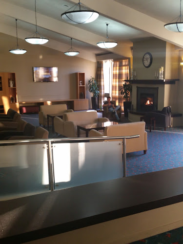 The Bar at Solway Park - Hospitality and gastronomy