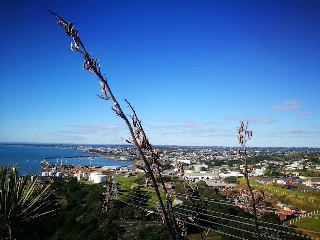 Comentarii opinii despre Blagdon Hot Bread Bakery