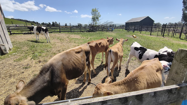 Otago Fresh Milk - Hospitality and gastronomy