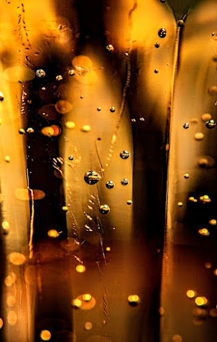 Big Barrel Taitā - Hospitality and gastronomy