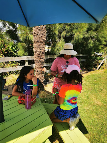 Opinii despre Bell Road Berries în Papamoa - Hospitality and gastronomy