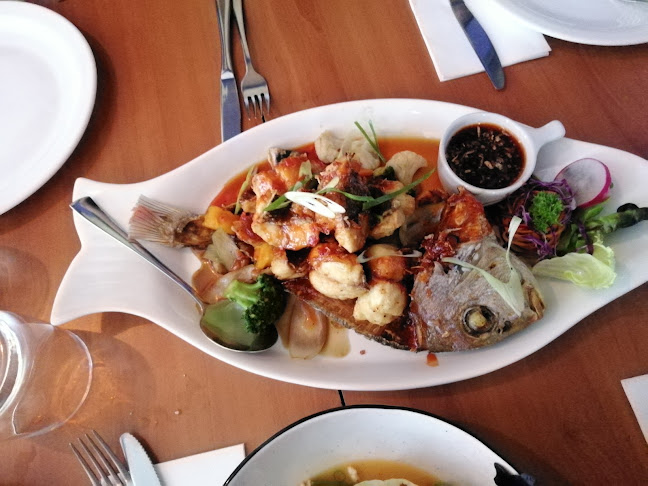 Thai Sunshine Restaurant - Hospitality and gastronomy