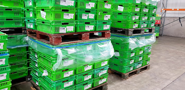 Turners & Growers Fresh - Wellington