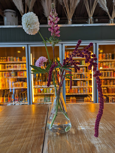 Punky Brewster - Bar and Fillery - Hospitality and gastronomy